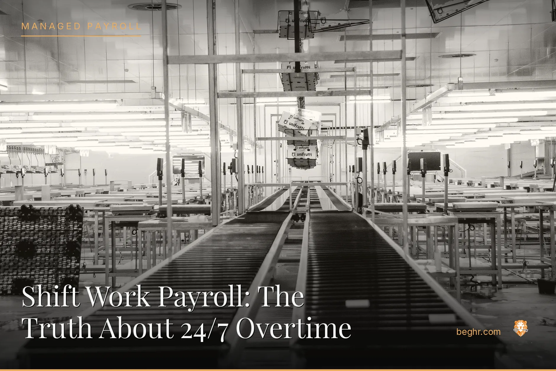 A clean modern factory floor with workers operating machinery